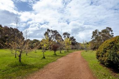 Residential Block For Sale - WA - Margaret River - 6285 - Prime position between the best of both worlds  (Image 2)
