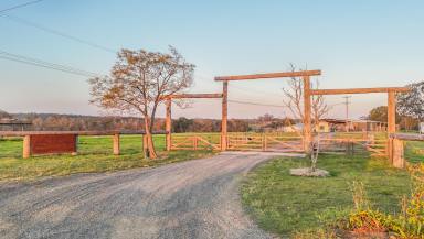 Livestock Auction - NSW - Sherwood - 2440 - Nether Grove - The very best of country living yet close to a wide range of amenities  (Image 2)