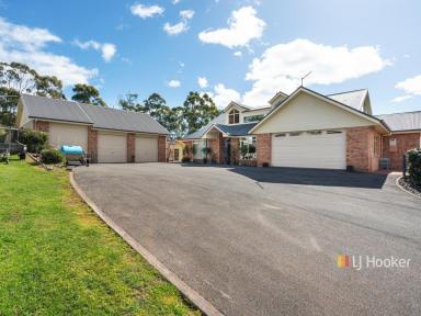 House For Sale - TAS - Don - 7310 - Craftsmanship You Rarely See Today  (Image 2)