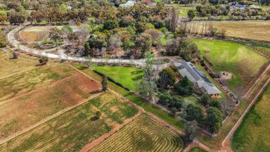 House For Sale - NSW - Lake Wyangan - 2680 - Ultimate family-friendly farm with the perfect location and subdivision  (Image 2)
