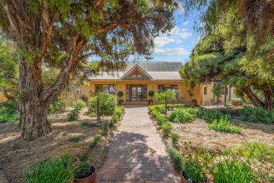 House For Sale - NSW - Lake Wyangan - 2680 - Ultimate family-friendly farm with the perfect location and subdivision  (Image 2)