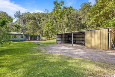 Acreage/Semi-rural For Sale - QLD - Diamond Valley - 4553 - Private Acreage Oasis with Picturesque Tree-Lined Surrounds  (Image 2)