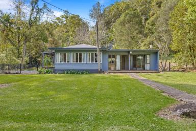 Acreage/Semi-rural For Sale - QLD - Diamond Valley - 4553 - Private Acreage Oasis with Picturesque Tree-Lined Surrounds  (Image 2)