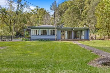 Acreage/Semi-rural For Sale - QLD - Diamond Valley - 4553 - Private Acreage Oasis with Picturesque Tree-Lined Surrounds  (Image 2)