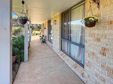 House For Sale - NSW - Leeton - 2705 - FAMILY LIVING  (Image 2)