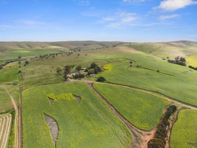 Acreage/Semi-rural For Sale - SA - Palmer - 5237 - Serene Country Living on 4 Ha, Breathtaking Valley Views. Sense of nature, privacy, nature, lifestyle, now yours to enjoy.  (Image 2)