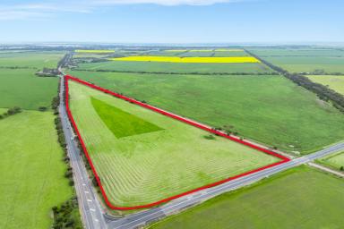 Lifestyle For Sale - SA - Currency Creek - 5214 - Railway South Paddock | Rare Rural Lifestyle Holding Minutes from Goolwa & Middleton (Image 2)