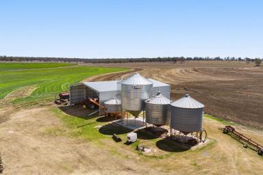 Mixed Farming For Sale - QLD - Clifton - 4361 - "RAVENLEA"  (Image 2)