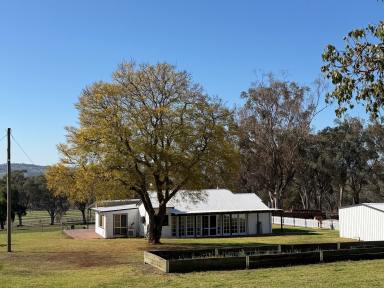 Acreage/Semi-rural For Sale - NSW - Inverell - 2360 - 'Holmesview' What a View! (Image 2)