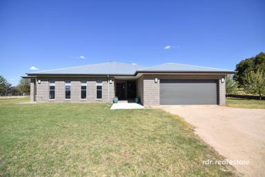 Lifestyle For Sale - NSW - Inverell - 2360 - COUNTRY SPACE, MODERN COMFORT  (Image 2)