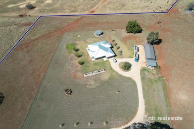 Lifestyle For Sale - NSW - Inverell - 2360 - COUNTRY SPACE, MODERN COMFORT  (Image 2)