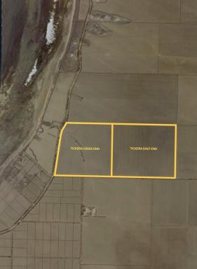 Cropping For Sale - SA - Tickera - 5555 - PRODUCTIVE ARABLE LAND  (Image 2)