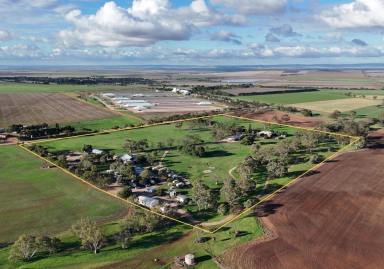 Lifestyle For Sale - SA - Snowtown - 5520 - LIVE THE CHARMING RURAL LIFESTYLE DREAM!  (Image 2)