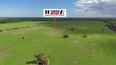 Cropping For Sale - SA - Boors Plain - 5554 - PRODUCTIVE CROPPING LAND  (Image 2)