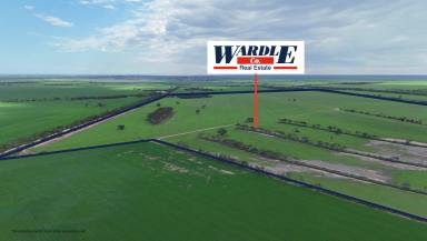 Cropping For Sale - SA - Boors Plain - 5554 - PRODUCTIVE CROPPING LAND  (Image 2)