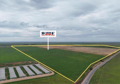 Mixed Farming For Sale - SA - Port Wakefield - 5550 - YELLANDS & LINKIES  (Image 2)
