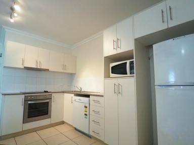 Unit For Lease - QLD - Cairns North - 4870 - SPACIOUS FURNISHED UNIT FOR RENT  (Image 2)