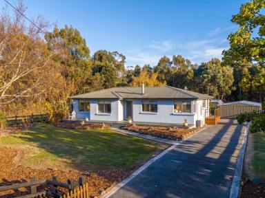 House For Lease - TAS - Karoola - 7267 - A home to suit all  (Image 2)