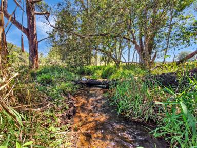 House For Sale - QLD - Peeramon - 4885 - Private Acreage with Permanent Water  (Image 2)