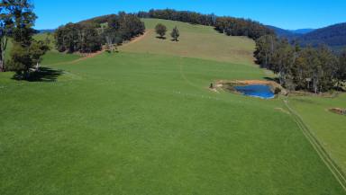 Residential Block For Sale - TAS - Beulah - 7306 - Approx. 150 Acres of Productive Country with Space to Dream  (Image 2)