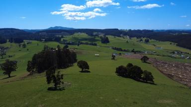 Residential Block For Sale - TAS - Beulah - 7306 - Approx. 150 Acres of Productive Country with Space to Dream  (Image 2)