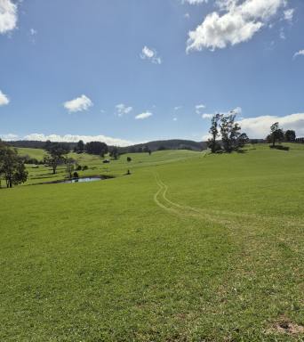 Residential Block For Sale - TAS - Beulah - 7306 - Approx. 150 Acres of Productive Country with Space to Dream (Image 2)