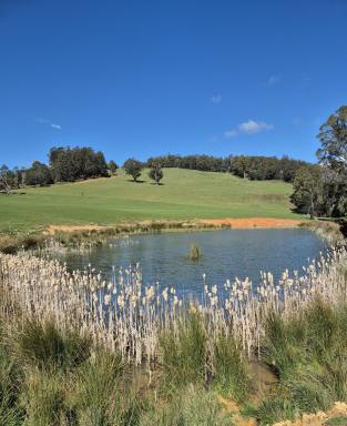 Residential Block For Sale - TAS - Beulah - 7306 - Approx. 150 Acres of Productive Country with Space to Dream (Image 2)