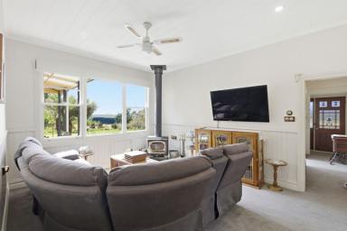 Lifestyle For Sale - TAS - Promised Land - 7306 - Stunning Mt Roland Views  (Image 2)