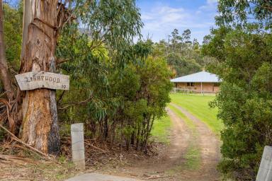 House For Sale - TAS - Dunalley - 7177 - A Place To Proudly Call Home (Image 2)