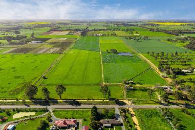 Lifestyle For Sale - VIC - Kyabram - 3620 - Productive 80-Acre Rural Property (Image 2)