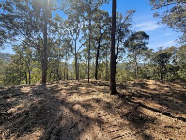 Lifestyle For Sale - NSW - Laguna - 2325 - Pristine Bushland Sanctuary  (Image 2)