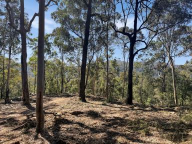 Lifestyle For Sale - NSW - Laguna - 2325 - Pristine Bushland Sanctuary  (Image 2)