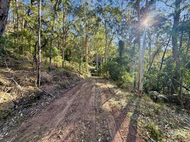 Lifestyle For Sale - NSW - Laguna - 2325 - Pristine Bushland Sanctuary  (Image 2)