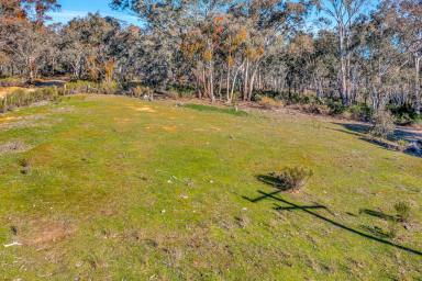 Residential Block For Sale - NSW - Mudgee - 2850 - BUILD READY BLOCK WITH DWELLING ENTITLEMENT (Image 2)
