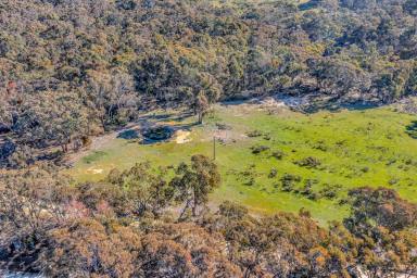 Residential Block For Sale - NSW - Mudgee - 2850 - BUILD READY BLOCK WITH DWELLING ENTITLEMENT (Image 2)