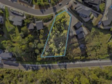 Residential Block For Sale - TAS - Trevallyn - 7250 - Build Your Future with a View! (Image 2)
