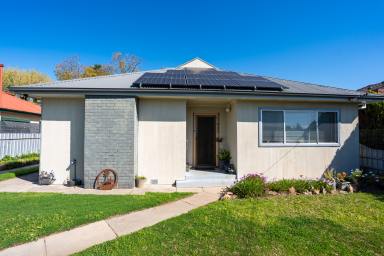 House For Sale - NSW - North Albury - 2640 - Spacious, Secure and Full of Character  (Image 2)