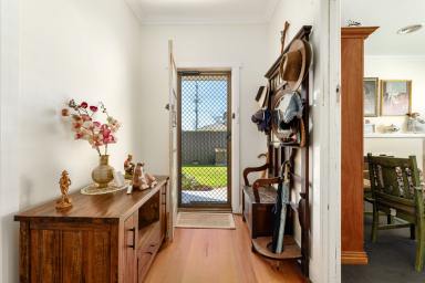 House For Sale - NSW - North Albury - 2640 - Spacious, Secure and Full of Character  (Image 2)