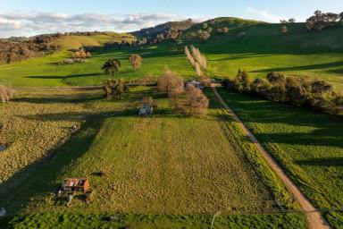 Mixed Farming Auction - NSW - Oberne Creek - 2650 - Tranquil country lifestyle!  (Image 2)