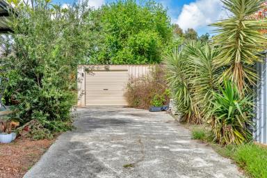 House For Sale - WA - Waroona - 6215 - Country Charm, Space to Grow & a Lifestyle to Love  (Image 2)