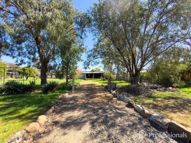 House For Sale - NSW - Somerton - 2340 - 1 Joshua Street Somerton  (Image 2)