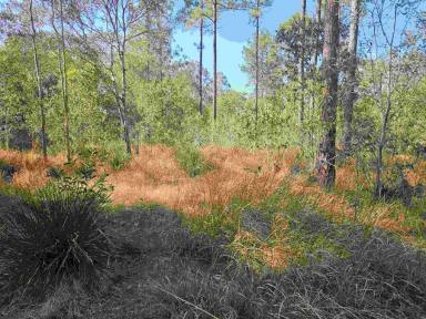 Residential Block For Sale - QLD - Glenwood - 4570 - Your Own Bushland Escape  (Image 2)
