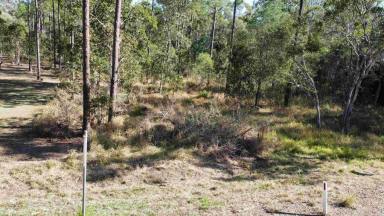 Residential Block For Sale - QLD - Glenwood - 4570 - Your Own Bushland Escape  (Image 2)