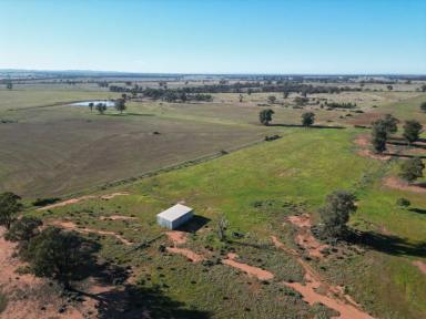 Mixed Farming For Sale - NSW - West Wyalong - 2671 - Small Farm Ten Minutes From West Wyalong With Housing Entitlement  (Image 2)