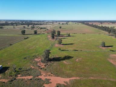 Mixed Farming For Sale - NSW - West Wyalong - 2671 - Small Farm Ten Minutes From West Wyalong With Housing Entitlement  (Image 2)