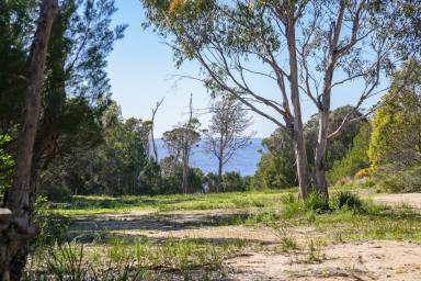 Residential Block For Sale - TAS - Bicheno - 7215 - Fabulous Foreshore & Future  (Image 2)