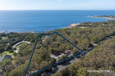 Residential Block For Sale - TAS - Bicheno - 7215 - Fabulous Foreshore & Future  (Image 2)