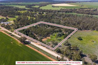 House For Sale - NSW - Ardlethan - 2665 - Welcome To Layback  (Image 2)