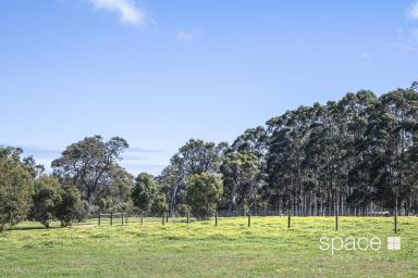 Residential Block For Sale - WA - Margaret River - 6285 - Stunning Vista (Image 2)