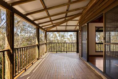 House For Sale - QLD - Hodgson Vale - 4352 - Tree‑Top Acreage Living with Space for the Whole Family  (Image 2)